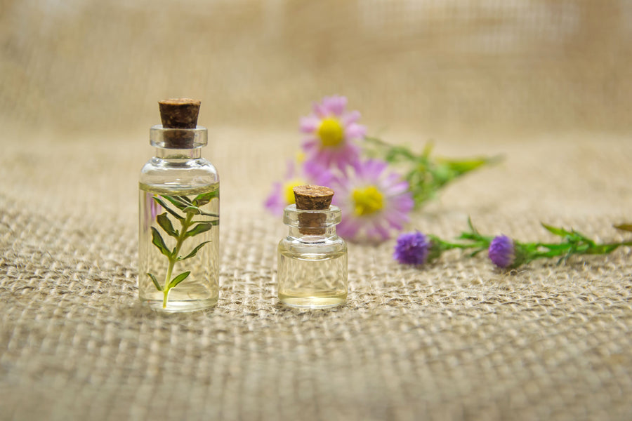 Chapter Three: From Plant to Essence