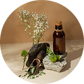 The Botanical